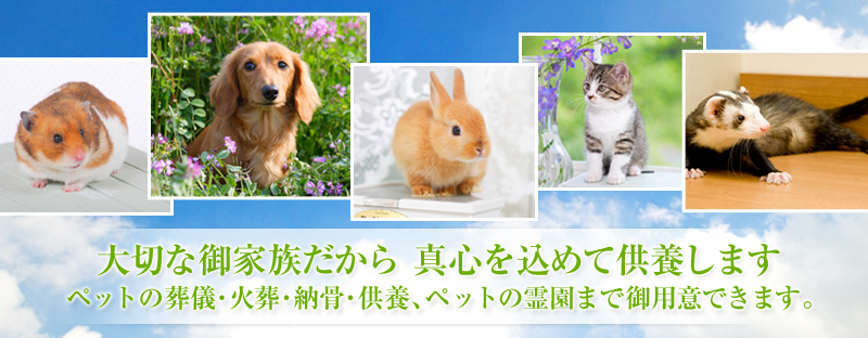 トップページ